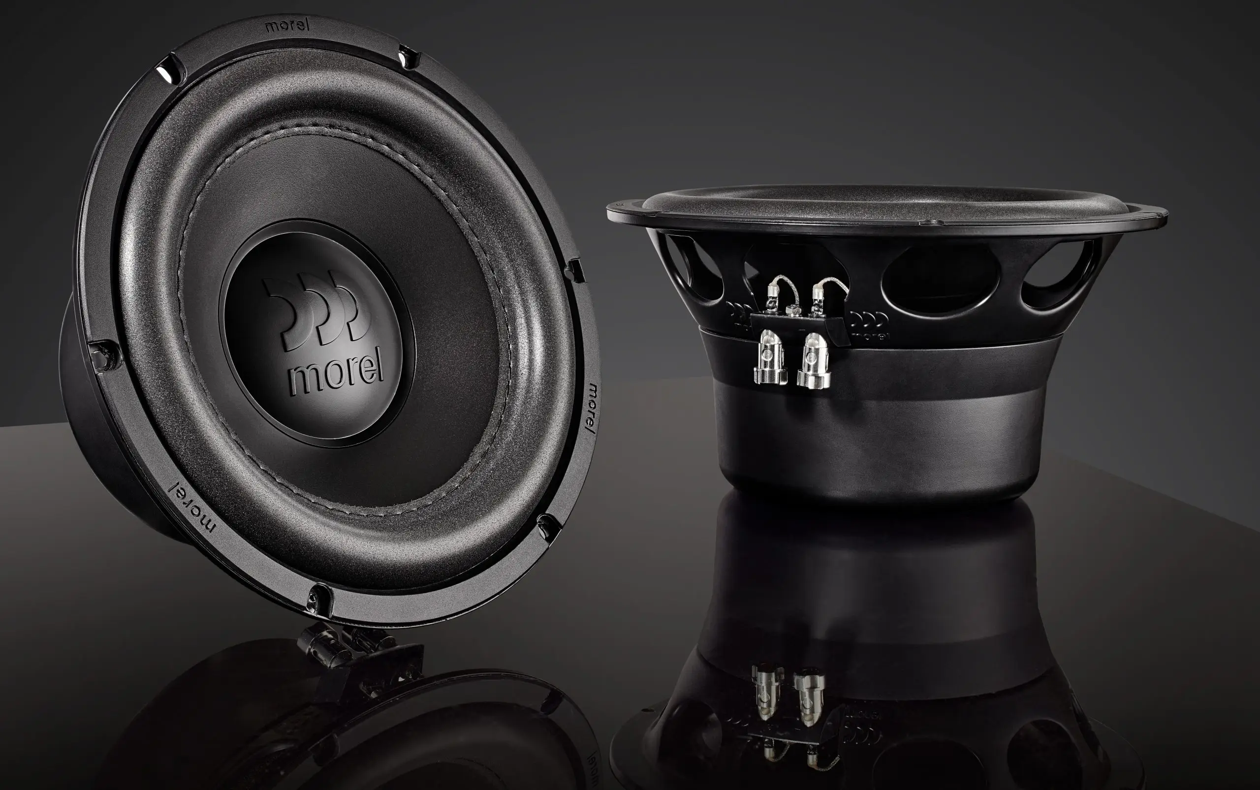 Stinger Audio Store -Stinger Audio Store Loa subwoofer Morel Kinetic scaled 1